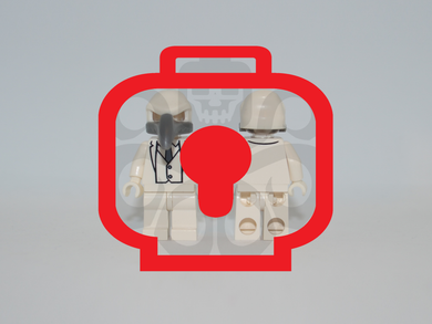 VENGEANCE BIRD Custom PAD PRINTED Minifigure