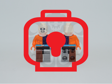 ELEMENTO Custom PAD PRINTED Minifigure